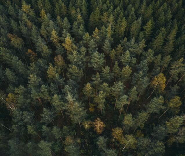 DJI_0201