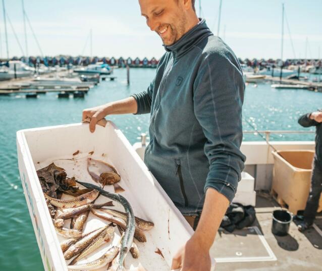 fisk
