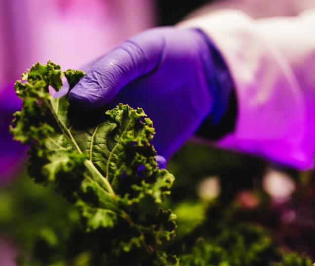 futufarm Futufarm Future food
